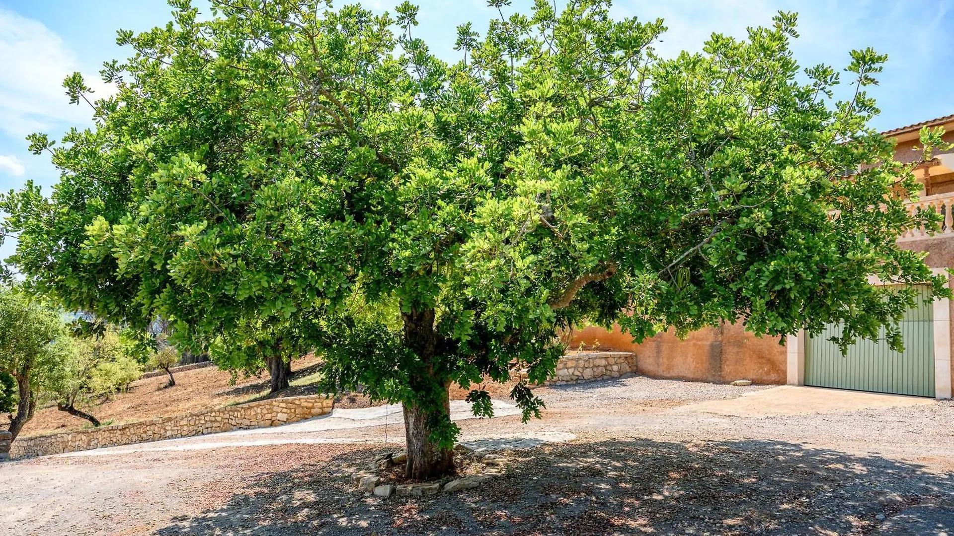 Vila Son Llodra Son Macia  0*, Son Macia (Mallorca) Španělsko